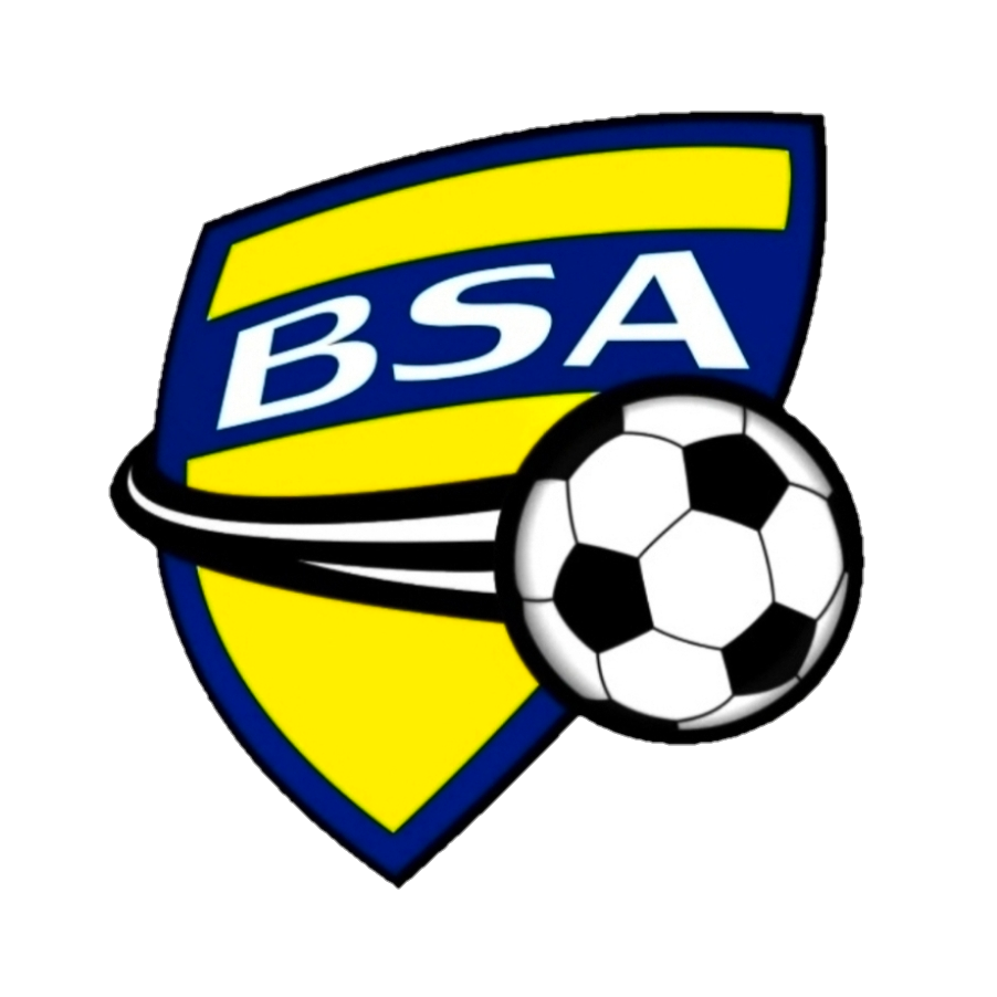BSA crest