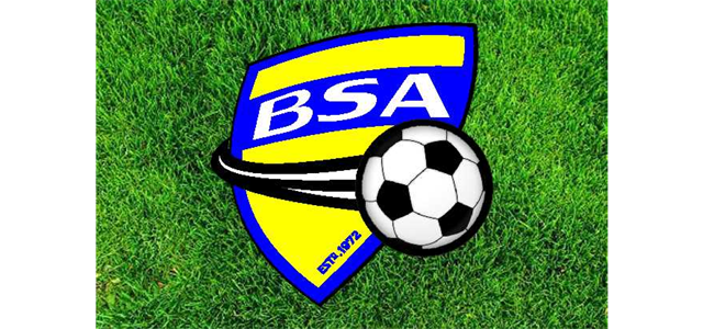 BSA Logo